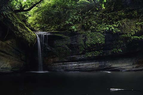 cascata, cercado, verde, folhas de árvores, meio Ambiente, outono, fluxo, panorama, Exposição longa, musgo, movimento, natureza, ao ar livre, parque, floresta tropical, rio, Rocha, cênico, corrente, viagem, arvores, agua, árvore, plantar, floresta, scenics - natureza, beleza na natureza, água corrente, crescimento, terra, ninguém, beira-mar, movimento borrado, fluindo, dia, cor verde, queda d'água, poder na natureza, 4K, CC0, domínio público, royalty free