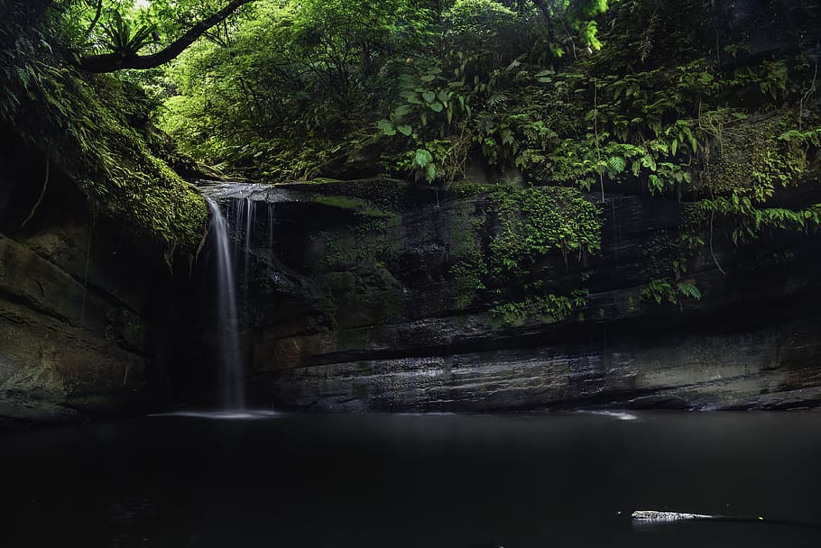 cascada, rodeado, verde, árboles de hojas, ambiente, otoño, fluir, paisaje, larga exposición, musgo, movimiento, naturaleza, al aire libre, parque, selva, río, rock, escénico, corriente, viaje, arboles, agua, árbol, planta, bosque, paisajes - naturaleza, belleza en la naturaleza, agua que fluye, crecimiento, tierra, nadie, frente al mar, movimiento borroso, fluido, día, color verde, la caída del agua, poder en la naturaleza, 4K
