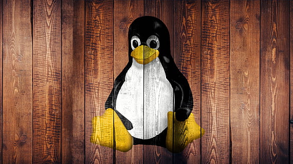 Linux, laptop, ecran, tapet, lemn, pinguin, graffiti, siglă, în interior, galben, reprezentare, lemn - material, nici o persoana, reprezentare umană, natură moartă, artă și sculptură, jucărie, a închide, vedere din față, îmbrăcăminte, textil, zi, un singur obiect, costum, 1080P, CC0, domeniu public, fără drepturi de autor