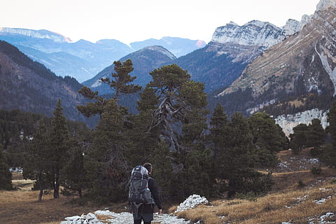 uomo, portando, zaino, in piedi, alberi, montagna, albero, foresta, bosco, all'aperto, valle, la neve, inverno, freddo, solitudine, escursione, solo, avventura, Esplorare, voglia di girovagare, umano, Francia, selvaggio, uomini, escursioni a piedi, natura, persone, a piedi, viaggio, paesaggio, turista, picco di montagna, adulto, Paesaggi, vacanze, una persona, turismo, persone che viaggiano, sentiero, sport, catena montuosa, 5K, CC0, dominio pubblico, privo di copyright