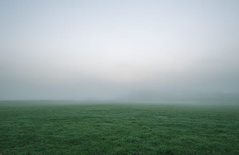 selektiv, Fotografie, Grün, Rasenplatz, Weiß, grau, Himmel, Wolken, wolkig, Dämmerung, Umgebung, Feld, Nebel, nebelig, Gras, Wiese, grasig, Landschaft, Rasen, Natur, einfach, szenisch, Sonnenuntergang, Wetter, Ruhe, Schönheit in der Natur, ruhige Szene, Szenen - Natur, Land, Nicht-städtische Szene, Pflanze, keine Leute, grüne Farbe, Morgen, Tag, idyllisch, draußen, dunstig, 5K, CC0, gemeinfrei, lizenzfrei