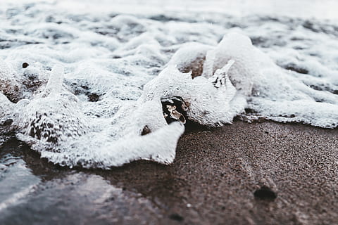 ocean bølge, sne, udendørs, grå, natur, lavine, arktisk, is, vinter, skum, dyr, dyre temaer, et dyr, ingen mennesker, kold temperatur, dag, selektiv fokusering, tæt på, dyreliv, hvirveldyr, jord, dyr i naturen, dyr kropsdel, strand, hvid farve, 5K, CC0, offentligt domæne, royaltyfrie