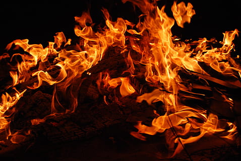 brandende boom, vreugdevuur, brandend, brand, vlam, vlammen, warmte, heet, vuur - natuurverschijnsel, warmte - temperatuur, nacht, Oranje kleur, natuur, geen mensen, hout - materiaal, beweging, geel, logboek, detailopname, gloeiend, hout, buitenshuis, communicatie, waarschuwingsbord, hel, zwarte achtergrond, kampvuur, 4K, CC0, publiek domein, royaltyvrij