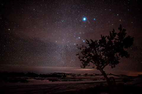 arbre, nit estrellada, naturalesa, a l'aire lliure, espai exterior, espai, astronomia, univers, nit, nebulosa, cel estrellat, patrick hendry, Via Làctea, llum, flamarada, cel, desert, terra, rural, camp, edifici, refugi, estrella - espai, planta, bellesa a la natura, escenics - natura, escena tranquil·la, cap gent, tranquil·litat, galàxia, silueta, idíl·lic, medi ambient, constel · lació, 8K, CC0, domini públic, lliure de regalies