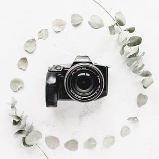nero, canon dslr camera, telecamera, foglia, le foglie, Tech, tecnologia, lente, riflessione, monocromatico, interno, distesa piatta, sfondo bianco, macchina fotografica nera, sigma, Immagine, servizio fotografico, catturare, foto, fotografo, fotografia, zoom len, macchina fotografica - attrezzatura fotografica, attrezzatura, temi fotografici, singolo oggetto, obiettivo - strumento ottico, vecchio stile, isolato, vecchio, in stile retrò, girato in studio, attrezzatura fotografica, antico, nessuno, sfondi, avvicinamento, bianca, obsoleto, Hobby, 2K, CC0, dominio pubblico, privo di copyright