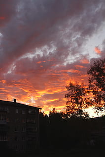 Rusko, beloretsk, nebe, mraky, mrak - nebe, architektura, západ slunce, exteriér budovy, stavba, strom, silueta, nikdo, Příroda, budova, rostlina, krása v přírodě, oranžová barva, rezidenční čtvrti, venku, scenics - příroda, klid, klidné scény, město, 5K, CC0, veřejná doména, bez autorských práv