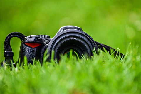 kameru v rovině, Fotoaparát, popředí, klasický, starý, zelená barva, tráva, rostlina, selektivní zaměření, fotografická témata, nikdo, Černá barva, den, sport, detail, pole, růst, přistát, fotoaparát - fotografické vybavení, Příroda, venku, ochrana, zařízení, fotografické vybavení, bezpečnostní, osobní příslušenství, digitální fotoaparát, 5K, CC0, veřejná doména, bez autorských práv