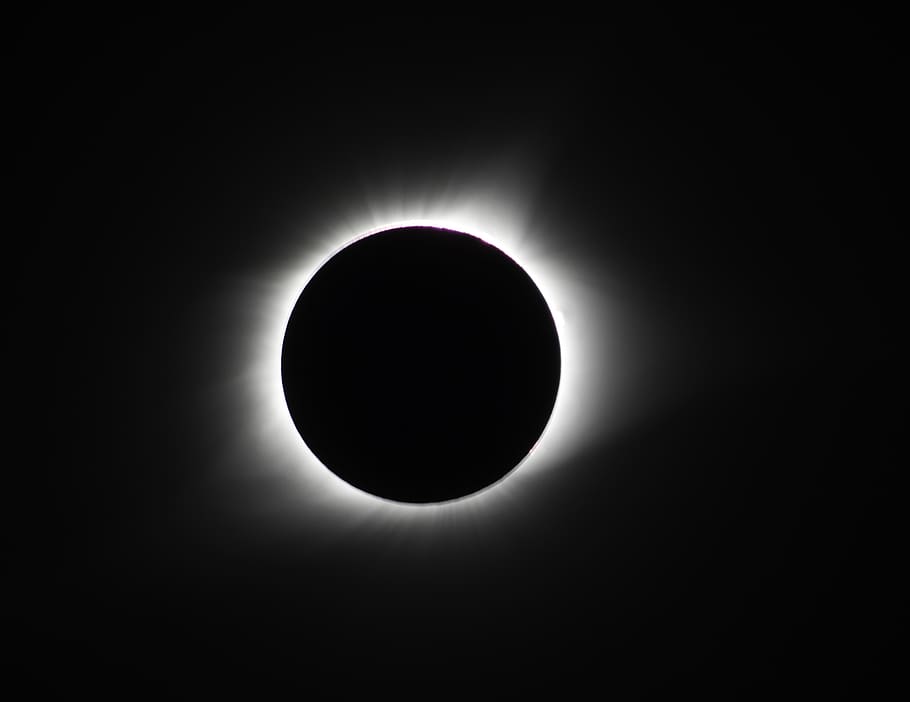 zatmění digitální tapeta, astronomie, zatmění, Spojené státy, babler state park - přístřešek ořechového háje, divoký les, zatmění Slunce, Černý a bílý, svítí, temný, tmavé pozadí, tma, světlo, měsíc, slunce, prostor, nebe, přírodního jevu, Příroda, nikdo, planeta - prostor, krása v přírodě, jeden objekt, kruh, venku, geometrický tvar, slunečního světla, Věda, silueta, 2K