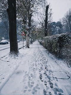 sne fyldt vej, natur, udendørs, storm, vinter, snestorm, sne, bil, køretøj, transportmidler, automobil, vejr, grå, træ, plante, is, vegetation, træstamme, abies, gran, jord, kold temperatur, vejen frem, retning, ro, dækker, ingen mennesker, hvid farve, sti, skønhed i naturen, vej, scenics - natur, bagagerum, faldende perspektiv, 4K, CC0, offentligt domæne, royaltyfrie