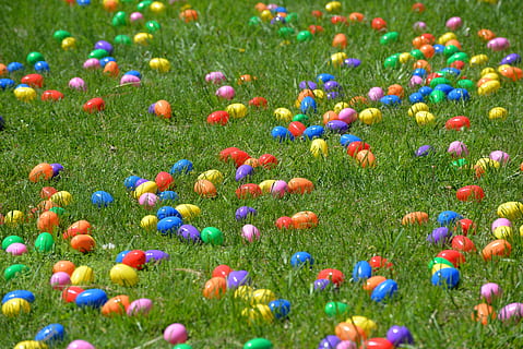 påskeegg, eggfall, helikopter, påske, slippe, vår, dekorasjon, kristne, anlegg, gress, multi farget, land, ingen folk, natur, dag, felt, blomst, grønn farge, vekst, blomstrende plante, skjønnhet i naturen, friskhet, bakgrunn, utendørs, selektiv fokusering, full ramme, miljø, overflod, lilla, 5K, CC0, offentlig domene, opphavsrett gratis