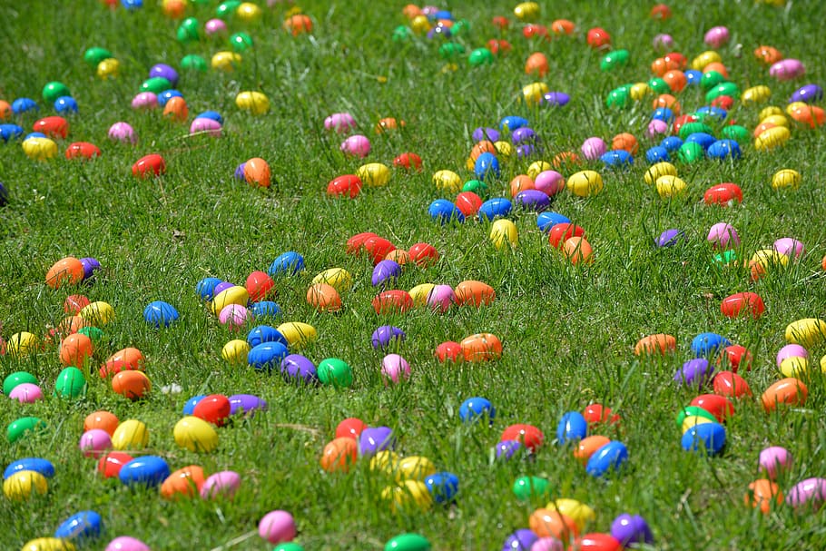 ous de Pasqua, caiguda d’òvuls, helicòpter, Pasqua, caient, primavera, decoració, cristians, planta, herba, multicolor, terra, cap gent, naturalesa, dia, camp, flor, color verd, creixement, planta amb flors, bellesa a la natura, frescor, fons, a l'aire lliure, enfocament selectiu, marc complet, medi ambient, abundància, porpra, 5K