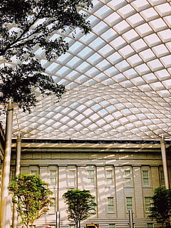 arbres de fulles verdes, pati, porxo, pèrgola, flora, gerro, arbre, ceràmica, planta en test, planta, jar, bonsai, Estats Units, Washington, 800 g, heura, gris, banc, edifici, dosser, arquitectura, exterior de l'edifici, estructura construïda, cap gent, dia, vista d’angle baix, creixement, naturalesa, a l'aire lliure, cel, ciutat, sostre, patró, modern, destinacions de viatge, Color blanc, columna arquitectònica, 4K, CC0, domini públic, lliure de regalies