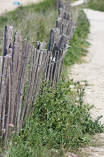 Francie, rostlina, bariéra, nikdo, dřevo - materiál, hranice, plot, Příroda, zelená barva, den, pole, tráva, bezpečnostní, přistát, ochrana, bezpečnost, venku, zaměřit se na popředí, růst, krajina, pěšina, dřevo, dřevěný sloupek, 5K, CC0, veřejná doména, bez autorských práv