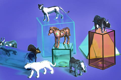 assorted-color animal illustration, animals, background, boxes, close-up, colorful, colors, elephant, figure, figurine, hippopotamus, horse, indoors, little, party, shapes, solid, square, toys, representation, studio shot, human representation, blue, male likeness, mammal, digital composite, colored background, art and craft, no people, animal wildlife, sculpture, blue background, technology, creativity, 1080P, CC0, public domain, royalty free