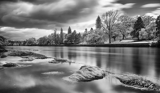 lac în timpul zilei, copac, plantă, natură, abies, brad, în aer liber, gheaţă, apă, teren, animal, pasăre, vreme, #natură, #clouds, #noua Zeelanda, #trees, #râu, zăpadă, vegetație, râu, nor - cer, cer, reflecţie, lac, frumusețe în natură, liniște, o scenă liniștită, scenice - natura, nici o persoana, zi, malul mării, arhitectură, 4K, CC0, domeniu public, fără drepturi de autor