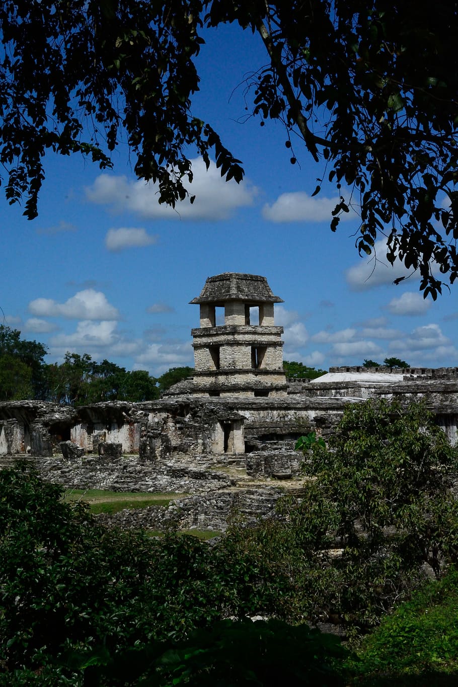 palenque, palau, arquitectura, estructura construïda, planta, cel, història, arbre, el passat, antic, naturalesa, núvol - cel, exterior de l'edifici, destinacions de viatge, viatjar, lloc de culte, civilització antiga, turisme, antiga ruïna, dia, cap gent, a l'aire lliure, arqueologia, arruïnat, 5K