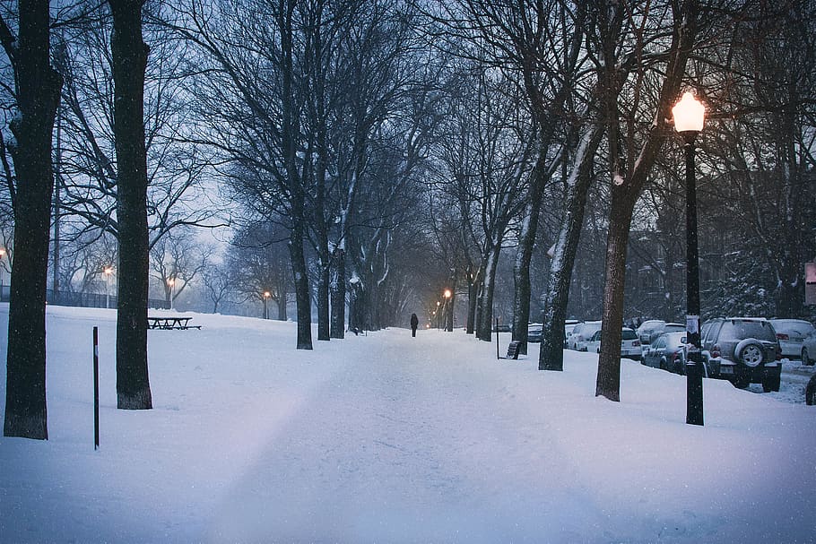 persona, caminar, arbres, neu, a l'aire lliure, Camí, vorera, parc jeanne mance, montreal, Canadà, arbre, carrer, parc, sol, tractor, transport, vehicle, excavadora, llevaneus, ciutat, temperatura de fred, hivern, el camí a seguir, direcció, naturalesa, perspectiva decreixent, llum del carrer, carretera, il·luminat, cobertura, planta, manera de transport, automòbil, Color blanc, cap gent, nevar, clima extrem, vent de neu, treelined, 5K