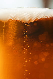 cervesa, bombolla, tancar, macro, mousse, escuma, pression, pressió, alcool, beure, taronja, ocre, refresc, menjar i beguda, equipament per a la llar, copa, alcohol, vidre, cap gent, frescor, cervesa - alcohol, humit, temperatura de fred, beguda espumosa, primer pla, aigua, tirar, lager, carbonatats, vaixella, 4K, CC0, domini públic, lliure de regalies