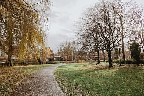 pusty, Droga, otoczony, drzewa, roślina, drzewo, trawa, pnia drzewa, ścieżka, na dworze, Natura, park, pole, wierzba, ziemia, jodła, abies, chodnik, łąka, szlak, budynek, iglica, niebo, nagie drzewo, żadnych ludzi, dzień, droga naprzód, kierunek, wzrost, spokój, spokojna scena, piękno natury, scenics - natura, Oddział, wylądować, treelined, 5K, CC0, domena publiczna, darmowe zdjęcia