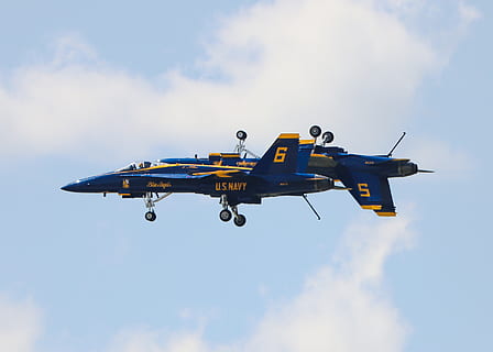 avió de combat volador, transport, avions, vehicle, avió, jet, avió de guerra, animal, ocell, volant, bombarder, vol, avió de línia, humà, persona, coet, míssil, falcó, buzzard, malabarisme, mamífer, vehicle aeri, cel, manera de transport, militar, núvol - cel, vista lateral, exèrcit, moviment, avió de combat, cap gent, forces aeries, en moviment, dia, naturalesa, a l'aire lliure, sol objecte, 2K, CC0, domini públic, lliure de regalies