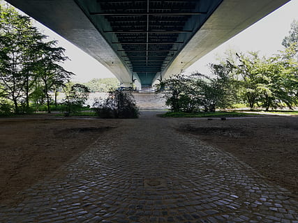 flod, bro, træ, struktur, beton, vand, sol, metal, parkere, Bonn, Tyskland, vegetation, jord, etage, små træer, arkitektur, bygget struktur, retning, plante, bro - menneskeskabt struktur, ingen mennesker, transportmidler, vejen frem, forbindelse, dag, natur, faldende perspektiv, vej, udendørs, sti, brosten, gade, by, under, arkitektoniske kolonne, 8K, CC0, offentligt domæne, royaltyfrie
