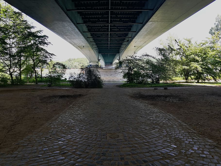 flod, bro, træ, struktur, beton, vand, sol, metal, parkere, Bonn, Tyskland, vegetation, jord, etage, små træer, arkitektur, bygget struktur, retning, plante, bro - menneskeskabt struktur, ingen mennesker, transportmidler, vejen frem, forbindelse, dag, natur, faldende perspektiv, vej, udendørs, sti, brosten, gade, by, under, arkitektoniske kolonne, 8K