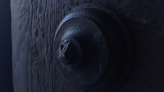 uşă, criticastru, a închide, ochi, un animal, mamifer, animal, culoare neagră, partea corpului animalului, animale tematice, nici o persoana, ochi de animale, animale sălbatice, fundaluri, intern, animale domestice, cadru complet, parte a corpului, portret, animale de companie, studio shot, perceptie senzoriala, cap de animal, Fundal negru, globul ocular, 4K, CC0, domeniu public, fără drepturi de autor