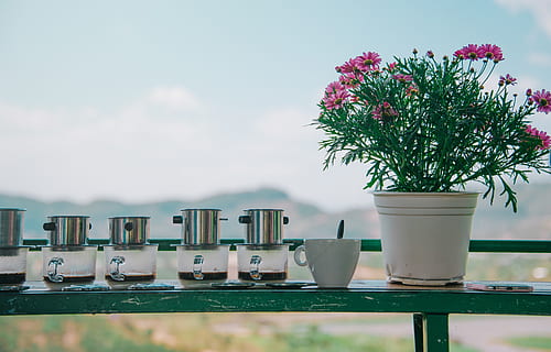 çiçek, Kahve, tablo, Fincan, içki, kafein, içecek, sabah, kafe, kâğıt, masaüstü, iş, bağbozumu, kitap, flatlay, ofis, büro, keyfi, kahverengi, okumak, Kupa, okuma, el, yaşam tarzı, ahşap, bitki, doğa, çiçekli bitki, insansız, doğada güzellik, gün, büyüme, gökyüzü, kapatmak, açık havada, aranjman, ön plana odaklanmak, tazelik, saksı bitkisi, kırılganlık, Güvenlik açığı, vazo, seçici odak, saksı, 4K, CC0, kamu malı, telif ücretsiz