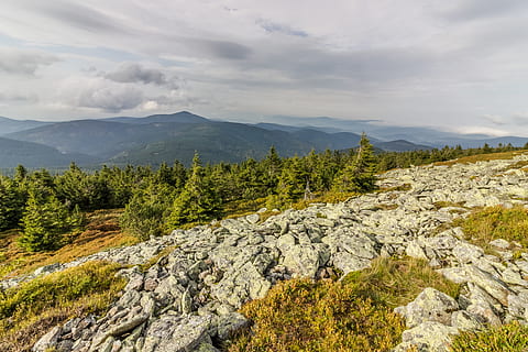 skały, greem, drzewo, drzewa, Natura, góry, Góra, piękno natury, scenics - natura, chmura - niebo, niebo, roślina, spokojna scena, spokój, scena pozamiejska, skała, pasmo górskie, rock - obiekt, solidny, krajobraz, żadnych ludzi, środowisko, wzrost, idylliczny, na dworze, szczyt górski, drzewo iglaste, 5K, CC0, domena publiczna, darmowe zdjęcia