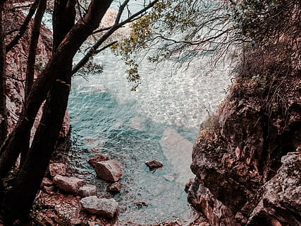 râu și munte, stâncă, apă, Croaţia, curent, pârâu, în aer liber, natură, copac, coastă, golfuleţ, mal, ocean, clar, albastru, moloz, decor, peisaj, plantă, floră, frumusețe în natură, trunchi de copac, ramură, teren, nici o persoana, trompă, scenice - natura, zi, liniște, pădure, obiect de rocă, o scenă liniștită, mişcare, apă curgătoare, 4K, CC0, domeniu public, fără drepturi de autor