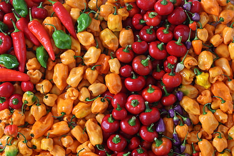assortits de verdures, menjar i beguda, menjar, vegetals, gran grup d'objectes, marc complet, alimentació saludable, mercat, frescor, abundància, pebre, fons, venda al detall, a la venda, benestar, elecció, variació, multicolor, vermell, Paradeta, cap gent, visualització al detall, 5K, CC0, domini públic, lliure de regalies