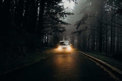 hvid, køretøj, vej, van, lys, blad, blade, Skov, tåge, udendørs, rædsel, uhyggelige, natur, tur, perspektiv, mørk, roadtriporegon, vandre, liv, fotografering, transportmidler, træ, transportform, bil, motor køretøj, plante, land køretøj, retning, vejen frem, bevægelse, ingen mennesker, på farten, jord, forlygte, nat, belyst, 5K, CC0, offentligt domæne, royaltyfrie