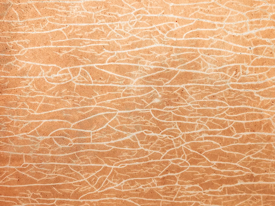 superfície marró, textura, catifa, pell, pis, patró, marbre, rajola, paret, rock, alumini, blanc, seda, a l'aire lliure, desert, naturalesa, aparador, mobles, cor, vellut, paper d'alumini, fons, marc complet, cap gent, paper, primer pla, a l'interior, marró, resum, forma, sòls, còpia espai, tir de l'estudi, primer pla extrem, abundància, cobertura, disseny, cuir, 4K