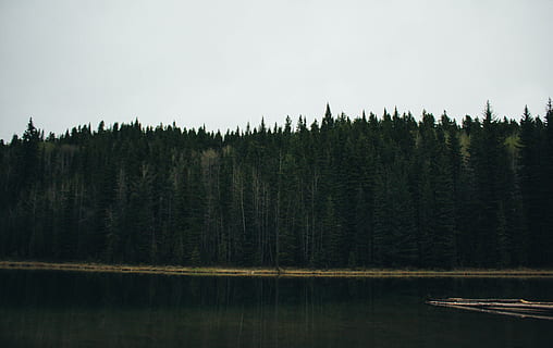 Reflexion, Wald, Baum, Teich, See, Landschaft, Stimmung, draussen, Wanderung, Camping, Wasser, Pflanze, Schönheit in der Natur, ruhige Szene, Ruhe, Szenen - Natur, Natur, Land, Himmel, keine Leute, Nicht-städtische Szene, Kiefer, Nadelbaum, Tag, Wachstum, draußen, Kiefernwald, 4K, CC0, gemeinfrei, lizenzfrei