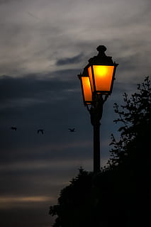 lantern, lamp, lighting, light, street lamp, light source, evening, night, sky, cloud - sky, lighting equipment, street light, sunset, street, bird, nature, orange color, silhouette, no people, low angle view, tree, dusk, illuminated, plant, vertebrate, animal themes, animal, outdoors, electricity, electric lamp, 5K, CC0, public domain, royalty free