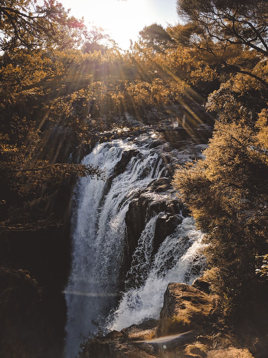 cascate, circondato, alberi, i raggi del sole, cascata, flusso, foresta, idilliaco, natura, rapide, rocce, scenario, panoramico, ruscello, sole, tranquillo, boschi, bellezza nella natura, movimento, acqua, scenics - natura, albero, acqua corrente, roccia, roccia - oggetto, nessuno, terra, solido, pianta, giorno, ambiente, fluente, luce del sole, potere in natura, all'aperto, acqua che cade, 4K