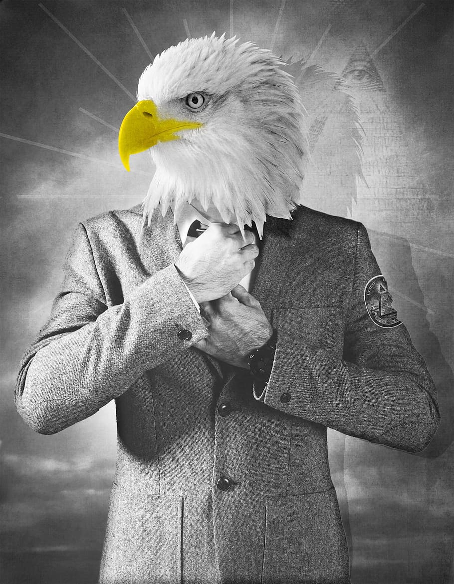 Falke, Adler, Mensch, Pose, Mann, Büro, Job, Vogel, Wirbeltier, ein Tier, eine Person, Taille hoch, Tierwelt, Vorderansicht, Raubvogel, Tiere in freier Wildbahn, Männer, Tag, Stehen, echte Menschen, Kleidung, Tierkörperteil, Jacke, nicht erkennbare Person, 1080P