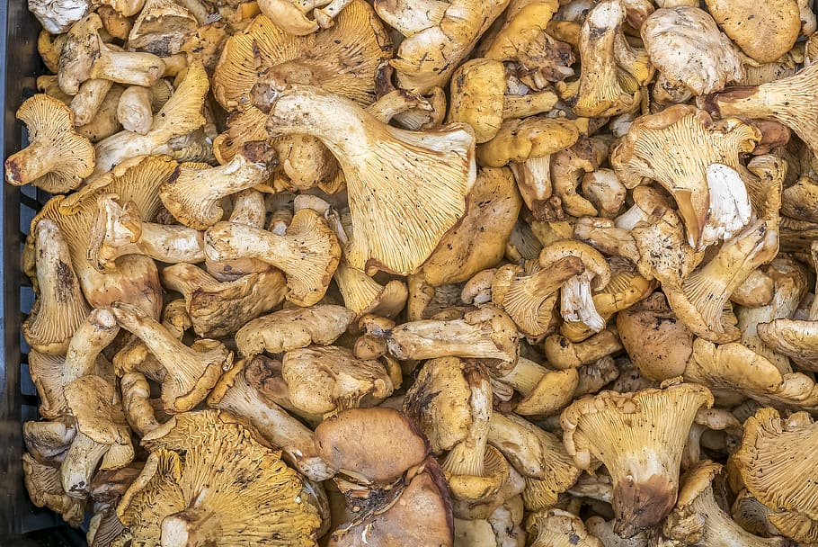 espanya, barbastro, menjar, menjar i beguda, frescor, gran grup d'objectes, abundància, natura morta, alimentació saludable, marc complet, fons, mercat, benestar, a la venda, cap gent, vegetals, gingebre, venda al detall, vista d’angle alt, aliments crus, dia, Paradeta, venda, 4K