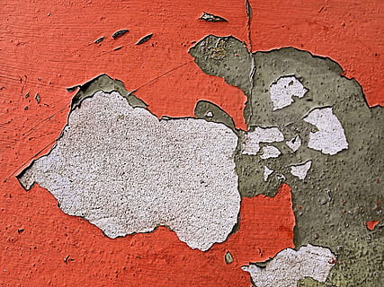map, diagram, tool, axe, bird, animal, military, military uniform, atlas, plot, art, brick, plant, tree, wall, rock, modern art, camouflage, letter, text, textured, backgrounds, no people, built structure, peeling off, damaged, full frame, architecture, weathered, wall - building feature, close-up, run-down, day, red, old, pattern, deterioration, rough, decline, textured effect, cement, 2K, CC0, public domain, royalty free