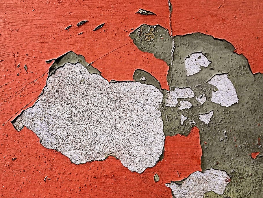 mapa, diagrama, eina, destral, ocell, animal, militar, uniforme militar, atles, parcel · la, art, maó, planta, arbre, paret, rock, art Modern, camuflatge, carta, text, textura, fons, cap gent, estructura construïda, descamació, espatllat, marc complet, arquitectura, resistent, funció de construcció de parets, primer pla, aixafar, dia, vermell, vell, patró, deteriorament, aspre, declivi, efecte texturat, ciment, 2K