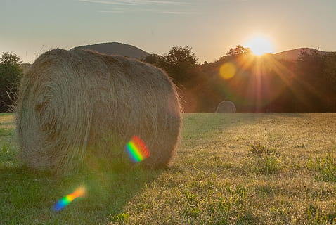 i campi, campo, prateria, collina, cannuccia, bote, rullo, rurale, agricoltura, paesaggio, natura, estate, azienda agricola, erba, cielo, raccogliere, pre, agricolo, Francia, cultura, pianta, terra, ambiente, riflesso lente, luce del sole, raggio di sole, balla, sole, bellezza nella natura, scenics - natura, fieno, la tranquillità, scena tranquilla, scena rurale, all'aperto, 2K, CC0, dominio pubblico, privo di copyright