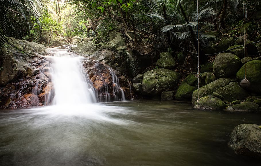 cascata, circondato, alberi, albero, foresta, acqua, scenics - natura, lunga esposizione, pianta, bellezza nella natura, movimento, acqua corrente, roccia, terra, roccia - oggetto, movimento sfocato, solido, natura, nessuno, crescita, fluente, foresta pluviale, all'aperto, flusso - acqua che scorre, potere in natura, 4K