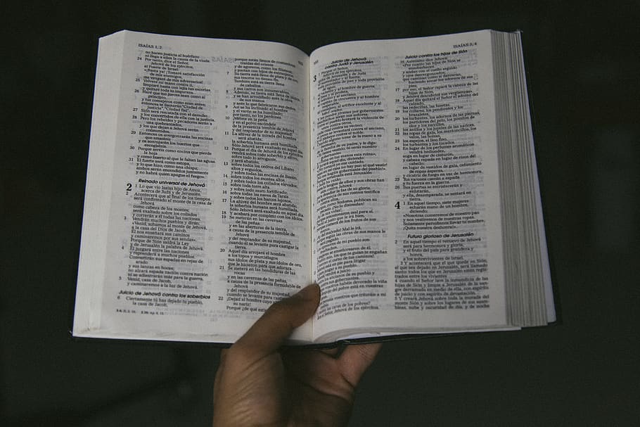 Bíblia oberta, llibre, text, persona, humà, pàgina, diari, cristià, celebració, home, bíblia, cristians, Déu, revelació, bíblies, llibres, cristianisme, document, paraula, menú, dit, part del cos humà, mà humana, publicació, paper, educació, gent, mà, obert, part del cos, a l'interior, lectura, activitat, aprenentatge, vista d’angle alt, saviesa, fons negre, estudiar, 4K