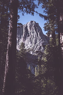 Taman Nasional Yosemite, gunung, hutan, pohon, sinar matahari, bayangan, pinus, biru, langit, epik, batu, jurang, californium, yosemite, alam, pemandangan, di luar rumah, batu - benda, Amerika Serikat, puncak gunung, tidak ada orang, perjalanan, tengara nasional, hiking, yosemite jatuh, keindahan di alam, california sierra nevada, tempat terkenal, medan yang ekstrim, Taman Nasional, pohon pinus, musim panas, california, daerah hutan belantara, pegunungan, el capitan - taman nasional yosemite, 8K, CC0, domain publik, bebas royalti
