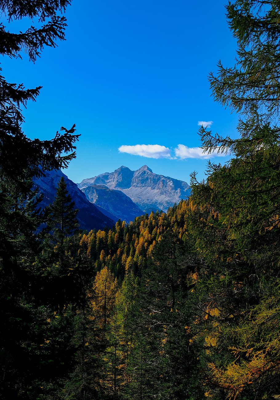 arbres de fulla verda, la llum del dia, medi ambient, bosc, alt, paisatge, muntanyes, naturalesa, parc, escènic, cel, arbres, boscos, arbre, muntanya, planta, bellesa a la natura, tranquil·litat, escena tranquil·la, escenics - natura, blau, creixement, escena no urbana, Serra, terra, cap gent, idíl·lic, dia, a l'aire lliure, arbre de coníferes, 5K
