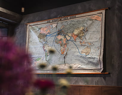 diagram, map, plot, atlas, art, painting, plant, flower, blossom, lily, pond lily, light, flare, canvas, amusement park, ferris wheel, grand theft auto, legend of zelda, train station, vehicle, no people, art and craft, indoors, architecture, creativity, frame, wall - building feature, built structure, abandoned, representation, day, picture frame, selective focus, craft, graffiti, old, low angle view, nature, 4K, CC0, public domain, royalty free