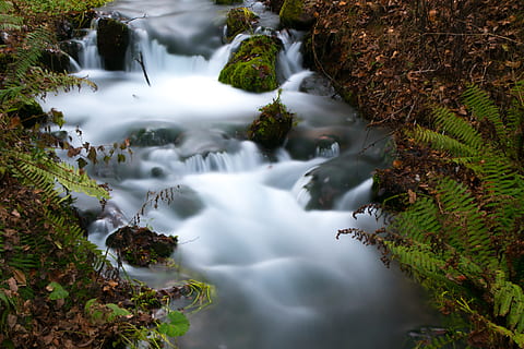 cascata, outono, agua, rio, Exposição longa, plantar, beleza na natureza, movimento, scenics - natureza, ninguém, natureza, água corrente, árvore, Rocha, floresta, musgo, movimento borrado, rock - objeto, crescimento, terra, dia, fluindo, ao ar livre, córrego - água corrente, queda d'água, pureza, 4K, CC0, domínio público, royalty free