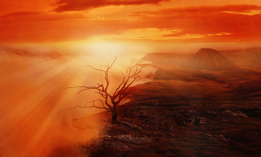 paesaggio, albero, vulcano, nuvole, cielo, abisso, nebbia, fantasia, Alba, tramonto, immagine di sfondo, modello, manipolazione dell'immagine, illuminazione, surreale, strano, atmosfera, umore, roccia, raggio di sole, albero morto, arancia, scenics - natura, natura, bellezza nella natura, ambiente, colore arancione, la tranquillità, nessuno, luce del sole, scena tranquilla, montagna, scena non urbana, sole, terra, nuvola - cielo, destinazioni di viaggio, maestoso, all'aperto, 5K