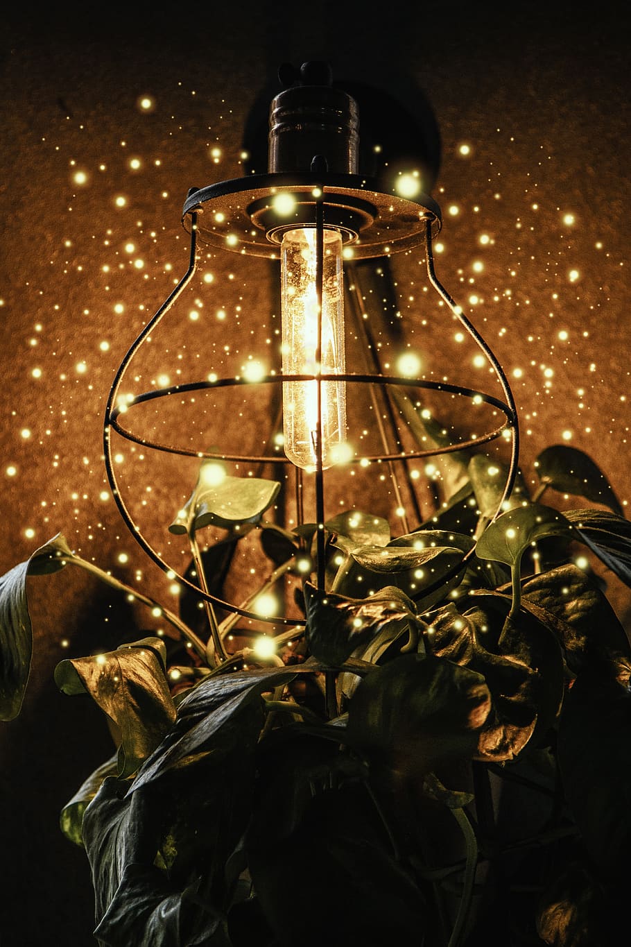 Magia, momento, lampada, luce, decorazione, design, floreale, Natale, Lucciole, vacanza, arredamento, deco, celebrare, decorativo, festa, palline, illuminato, attrezzatura per l'illuminazione, notte, nessuno, avvicinamento, raggiante, elettricità, lampadina, in casa, luce elettrica, luci di Natale, pianta, concentrarsi sulle conoscenze acquisite, trasparente, metallo, Inquadratura dal basso, lampada elettrica, 4K