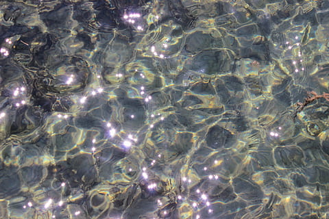 vand, afspejling, krusninger, sø, twinkle, Ontario, lake simcoe, natur, gennemsigtig, hav, ingen mennesker, fuld ramme, baggrunde, brydning, piblede, undervands-, sollys, dag, pool, vandoverflade, svømmepøl, overflade, udendørs, renhed, flyder på vandet, overfladisk, ren, 4K, CC0, offentligt domæne, royaltyfrie